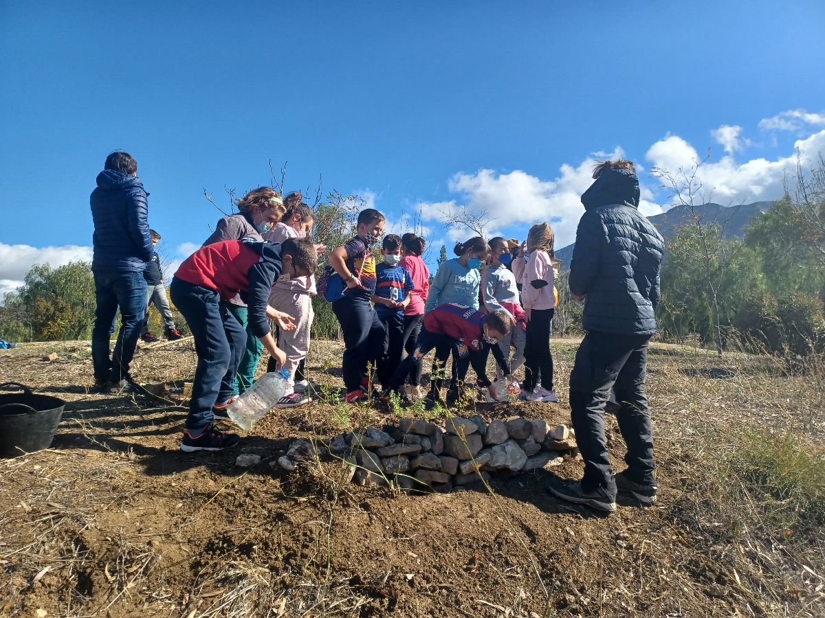 El Burgo 1