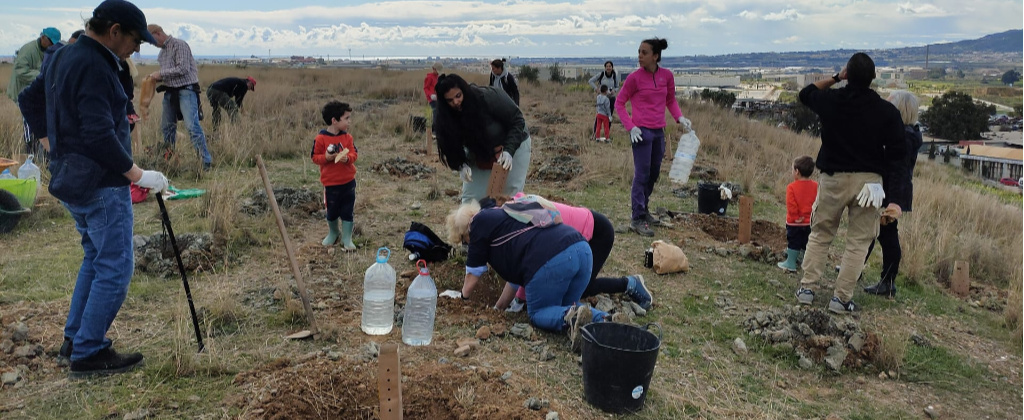 Plantando-1